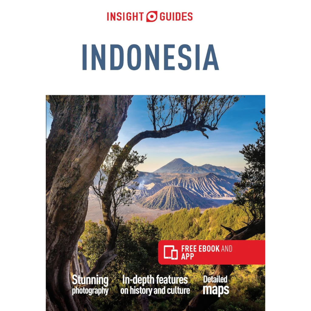 Indonesia-books-book-Travel-Luggage-Suitcase-Travel-Explore-Expedia-Holiday-Flights-British-Airways-Jamies-Planet-Earth