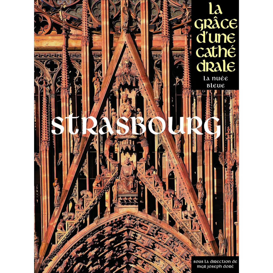 Strasbourg-1-France-books-book-Travel-Luggage-Suitcase-Travel-Explore-Expedia-Holiday-Flights-British-Airways-Jamies-Planet-Earth