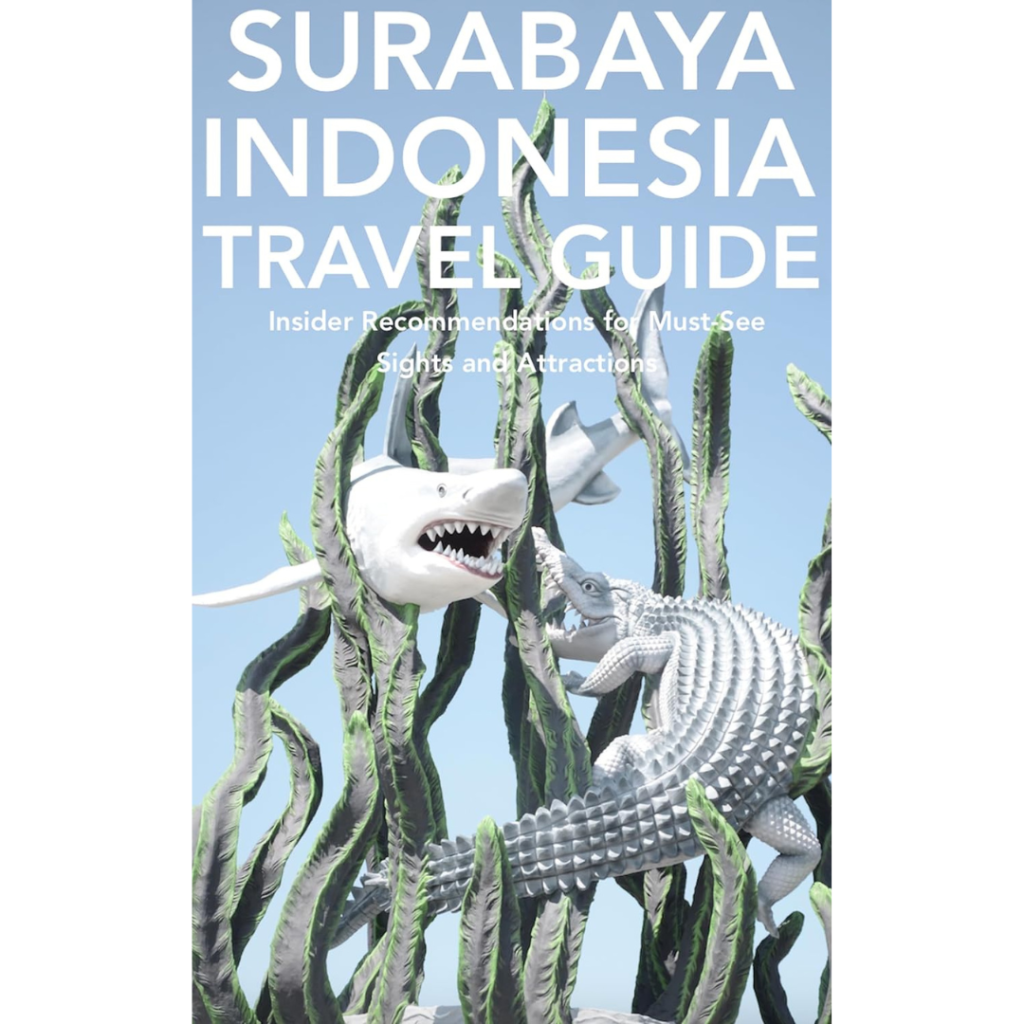 Surabaya-1-Indonesia-books-book-Travel-Luggage-Suitcase-Travel-Explore-Expedia-Holiday-Flights-British-Airways-Jamies-Planet-Earth