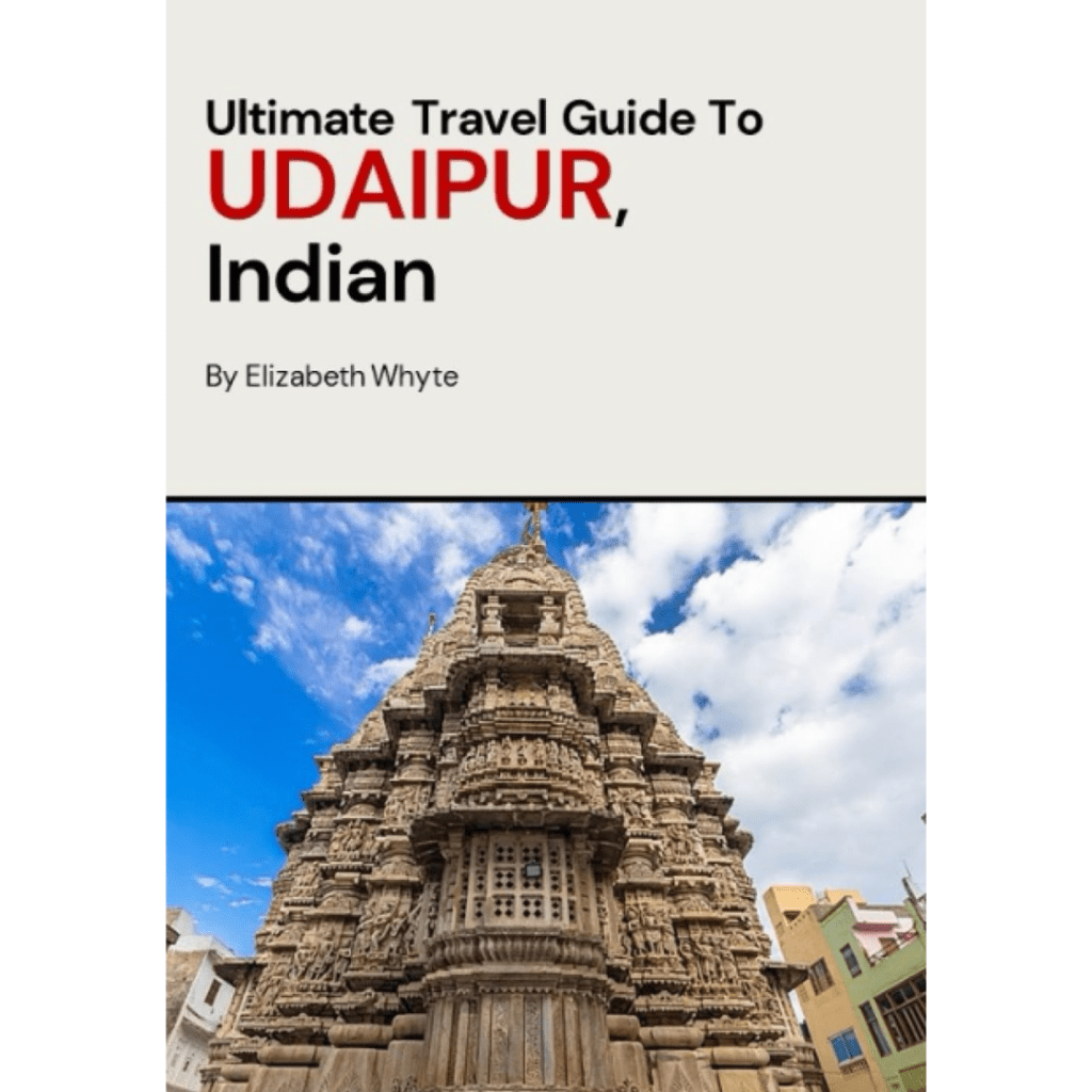 udaipur-1-India-books-book-Travel-Luggage-Suitcase-Travel-Explore-Expedia-Holiday-Flights-British-Airways-Jamies-Planet-Earth